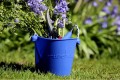 Składane wiaderko do wody i piasku Scrunch Bucket 8.jpg