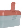 Lassig Zestaw na lunch Lunchbox + Tritanowa butelka - bidon 460 ml About Friends Lis 8.jpg